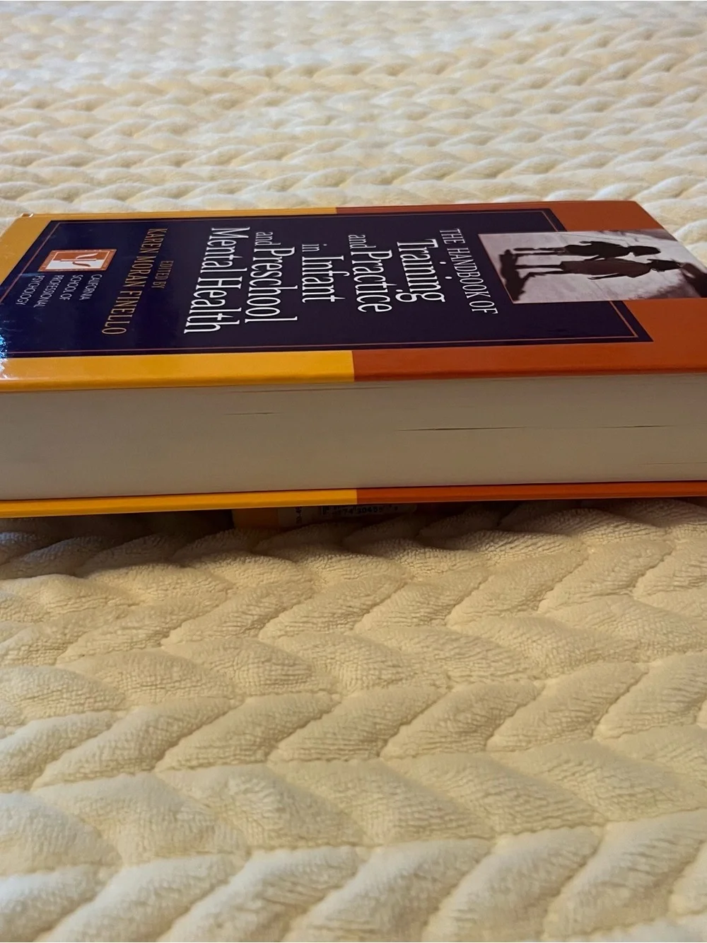 The handbook of Training and Practice Infant And Preschool Mental Health Hard